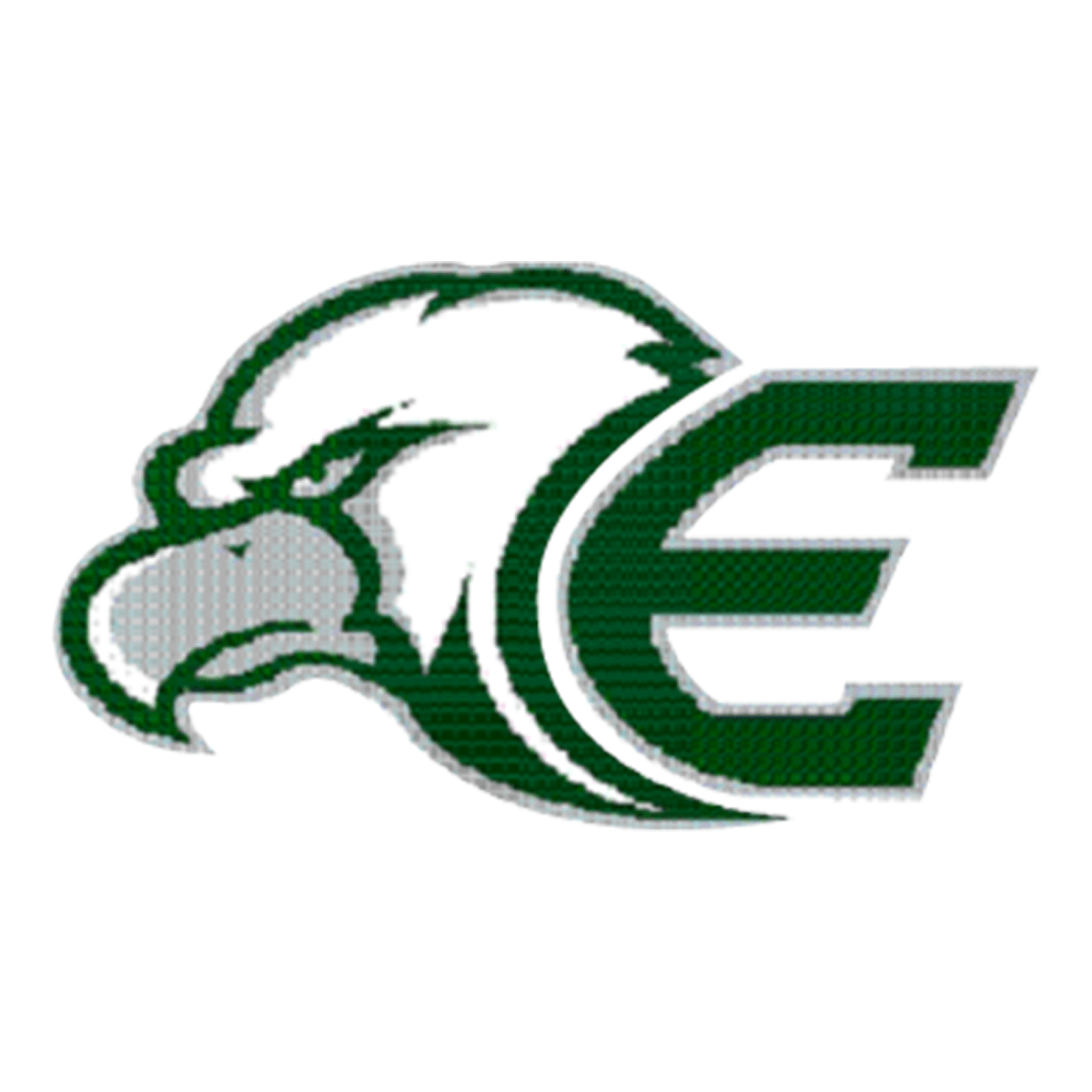 Eagle logo with letter E, green and white design.